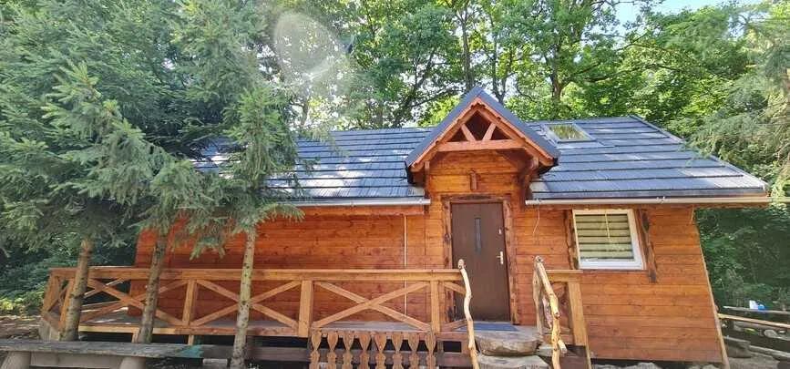 U Luizy