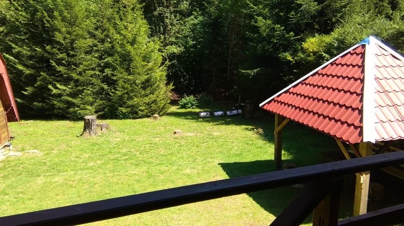 Widok z tarasu na ogród (2)