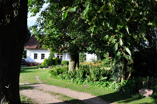 Otoczenie (2)