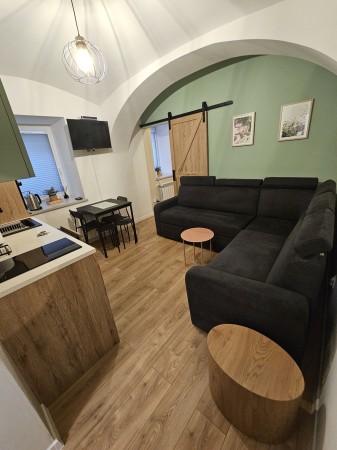 Apartament Pod Kasztanem (5)