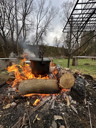 Ognisko (5)