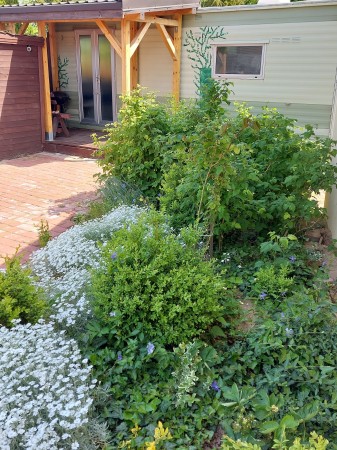 domek Tebonia holenderski (3)