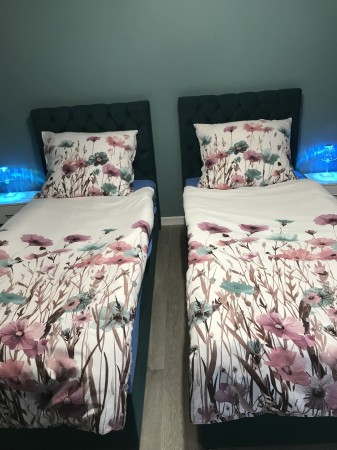 Apartament Asia