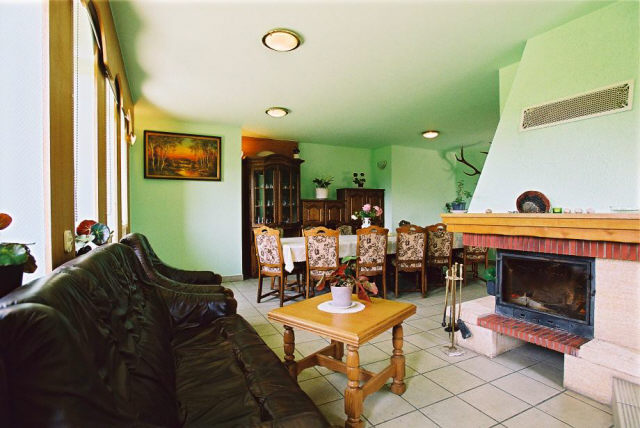 Salon z kominkiem. (5)
