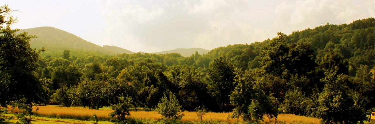 Pobliska okolica (2)
