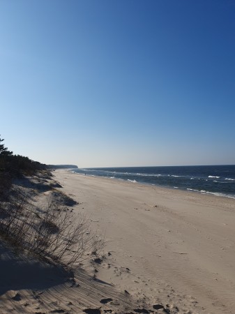 Domki letniskowe Mateo (3)