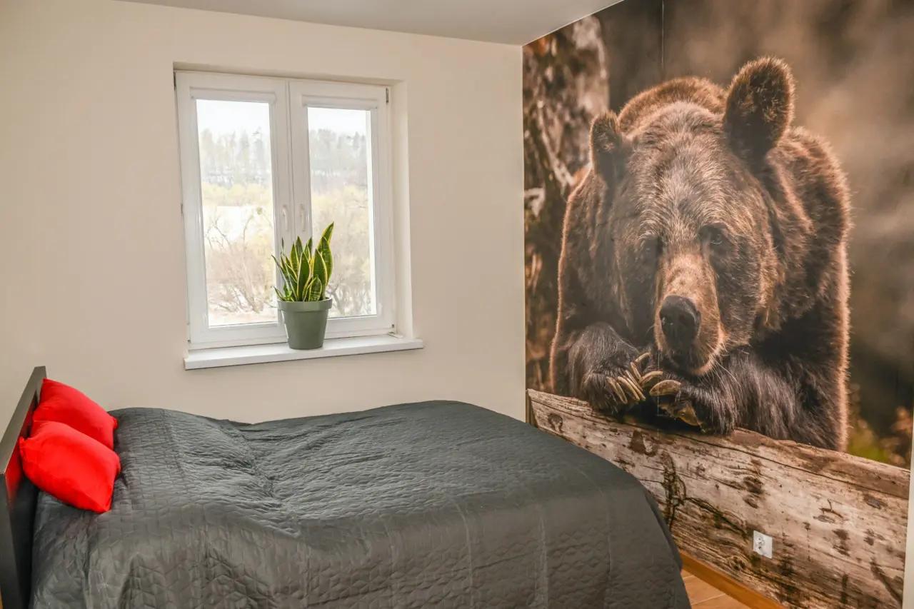 Apartament Niedźwiedzia Gawra