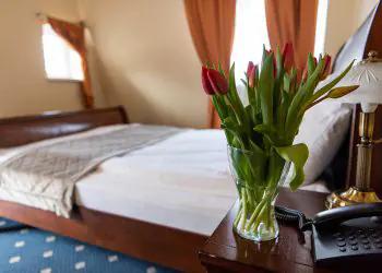 APARTAMENT DE LUX