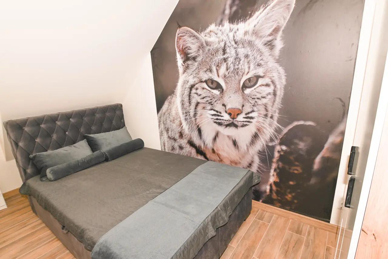 Apartament Królestwo Rysia