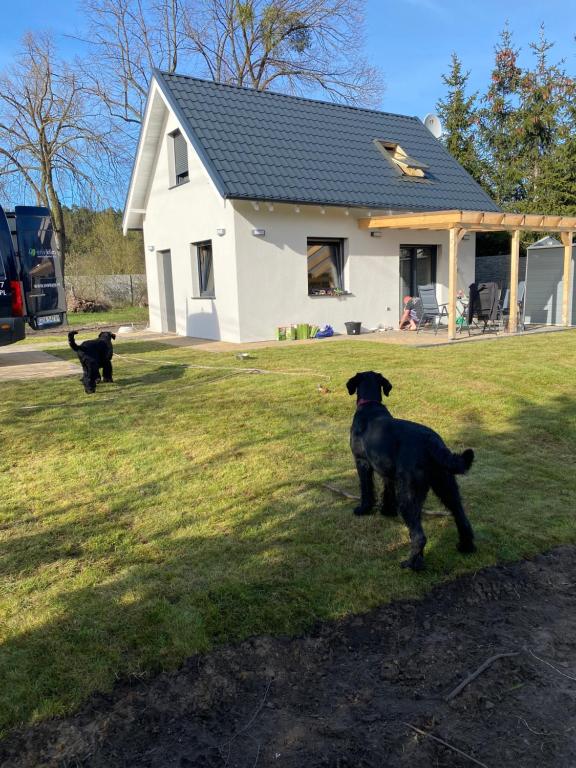 Apartament 6 osobowy