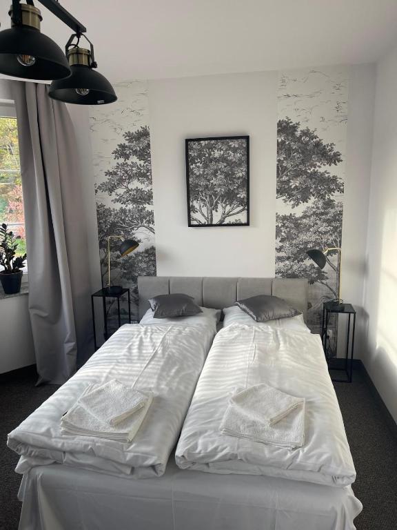 Apartament z 1 sypialnią