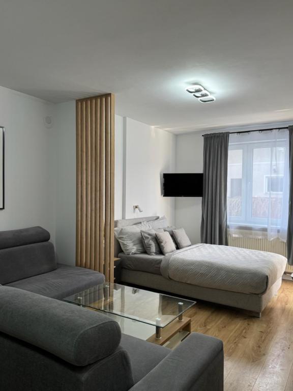 Apartament typu Superior z 1 sypialnią i balkonem