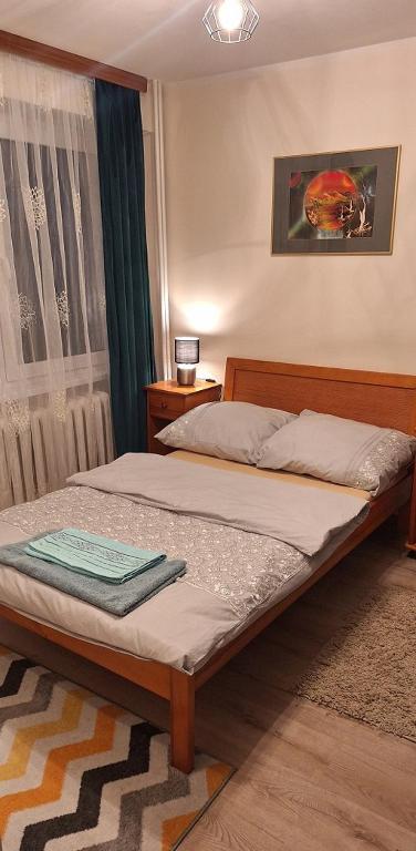 Apartament z 1 sypialnią