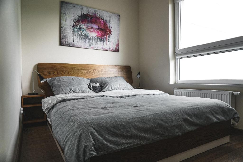 Apartament z 1 sypialnią