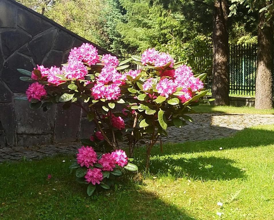 Pokój 4 osobowy